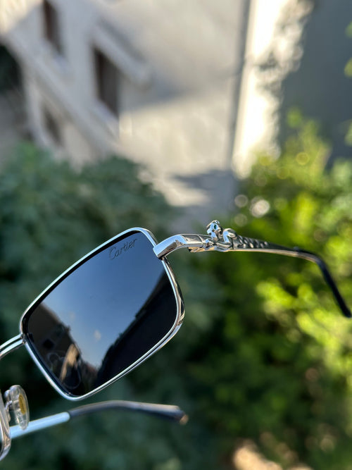 CTR003 CRT Premium Güneş Gözlüğü